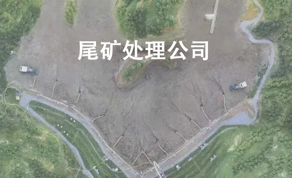 1681199482148903.png 尾矿处理公司.png