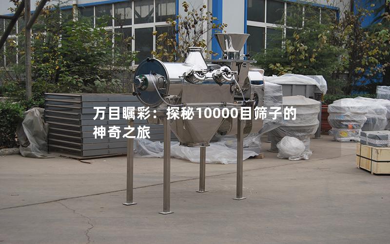 万目瞩彩:探秘10000目筛子的神奇之旅 万目瞩彩:探秘10000目筛子的神奇之旅