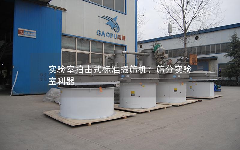 实验室拍击式标准振筛机:筛分实验室利器 实验室拍击式标准振筛机:筛分实验室利器