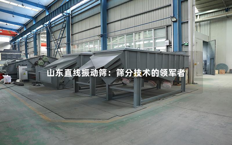 山东直线振动筛:筛分技术的领军者 山东直线振动筛:筛分技术的领军者