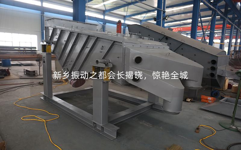 新乡振动之都会长揭晓,惊艳全城 新乡振动之都会长揭晓,惊艳全城