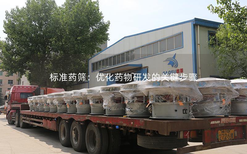 标准药筛：优化药物研发的关键步骤