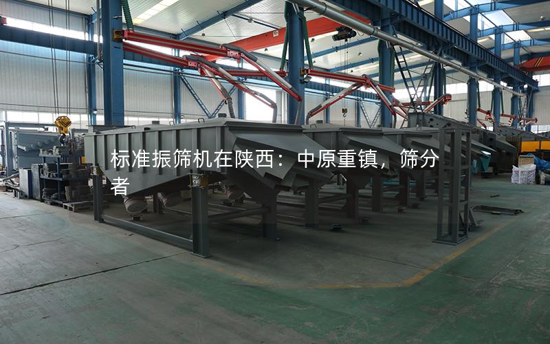 标准振筛机在陕西:中原重镇,筛分者 标准振筛机在陕西:中原重镇,筛分者
