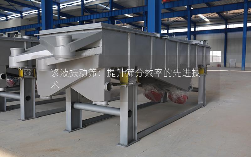 浆液振动筛:提升筛分效率的先进技术 浆液振动筛:提升筛分效率的先进技术