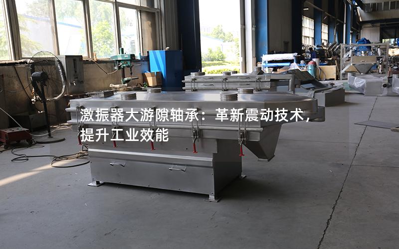 激振器大游隙轴承:革新震动技术,提升工业效能 激振器大游隙轴承:革新震动技术,提升工业效能
