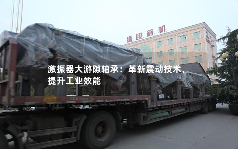 激振器大游隙轴承:革新震动技术,提升工业效能 激振器大游隙轴承:革新震动技术,提升工业效能