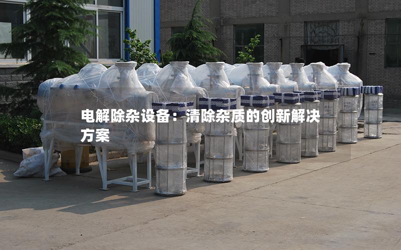 电解除杂设备:清除杂质的创新解决方案 电解除杂设备:清除杂质的创新解决方案