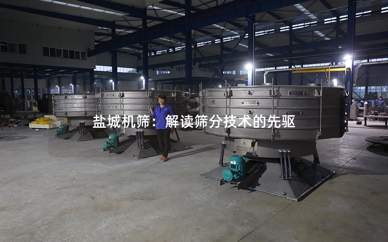盐城机筛:解读筛分技术的先驱 盐城机筛:解读筛分技术的先驱