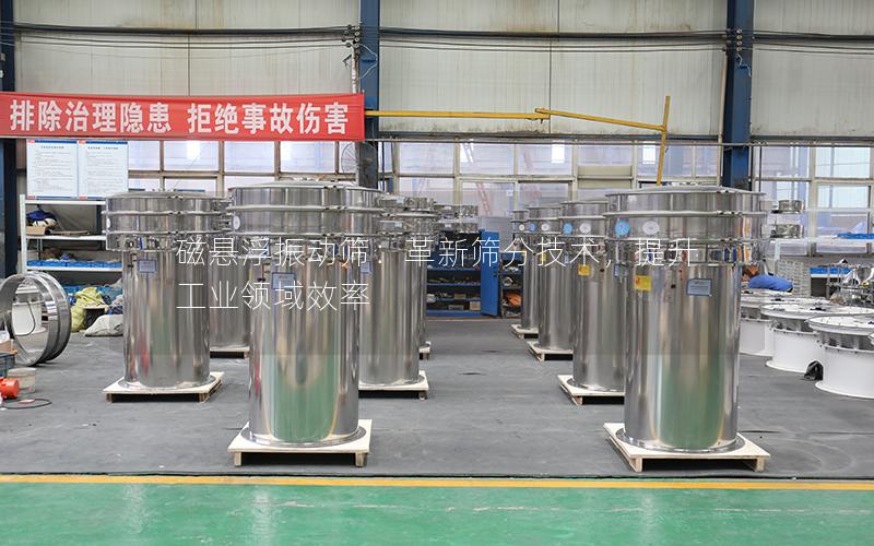 磁悬浮振动筛:革新筛分技术,提升工业领域效率 磁悬浮振动筛:革新筛分技术,提升工业领域效率