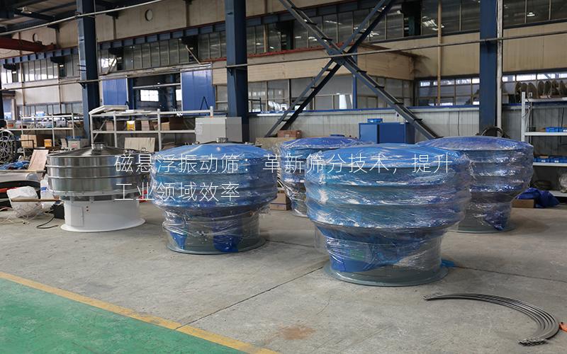 磁悬浮振动筛:革新筛分技术,提升工业领域效率 磁悬浮振动筛:革新筛分技术,提升工业领域效率