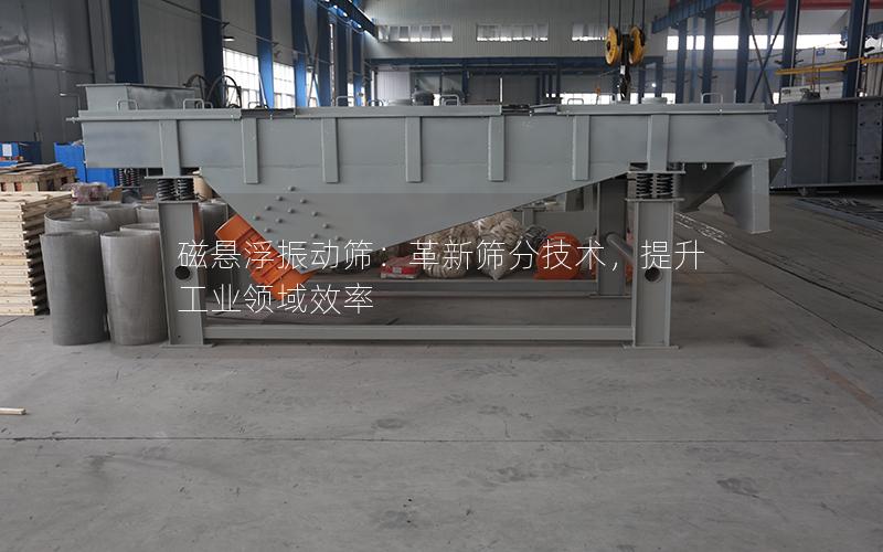 磁悬浮振动筛:革新筛分技术,提升工业领域效率 磁悬浮振动筛:革新筛分技术,提升工业领域效率