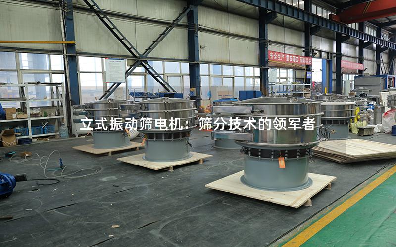 立式振动筛电机:筛分技术的领军者 立式振动筛电机:筛分技术的领军者