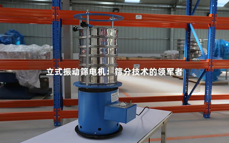 立式振动筛电机:筛分技术的领军者 立式振动筛电机:筛分技术的领军者