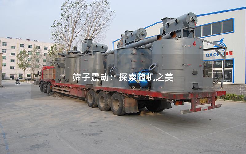 筛子震动:探索随机之美 筛子震动:探索随机之美