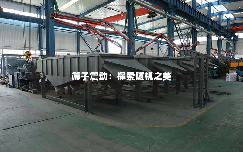 筛子震动:探索随机之美 筛子震动:探索随机之美