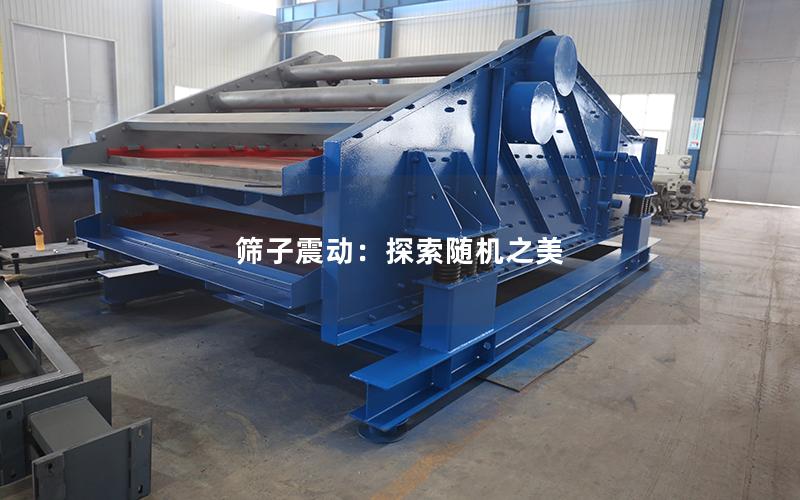 筛子震动:探索随机之美 筛子震动:探索随机之美