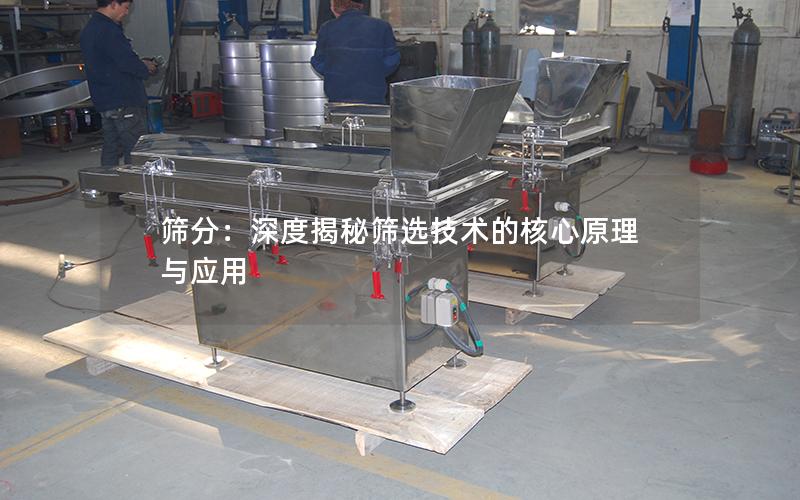 筛分:深度揭秘筛选技术的核心原理与应用 筛分:深度揭秘筛选技术的核心原理与应用