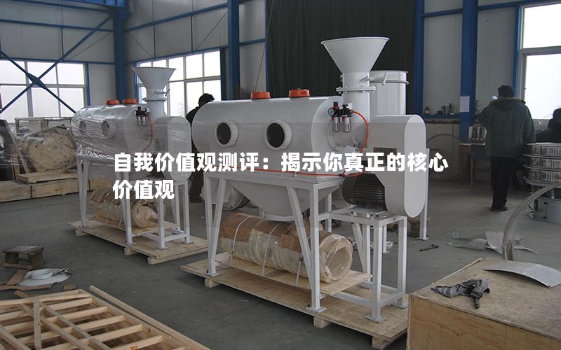 自我价值观测评:揭示你真正的核心价值观 自我价值观测评:揭示你真正的核心价值观