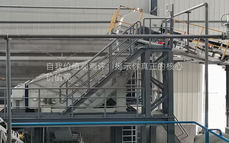 自我价值观测评:揭示你真正的核心价值观 自我价值观测评:揭示你真正的核心价值观