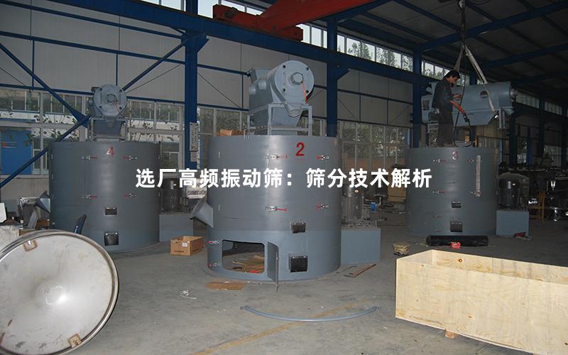 选厂高频振动筛:筛分技术解析 选厂高频振动筛:筛分技术解析