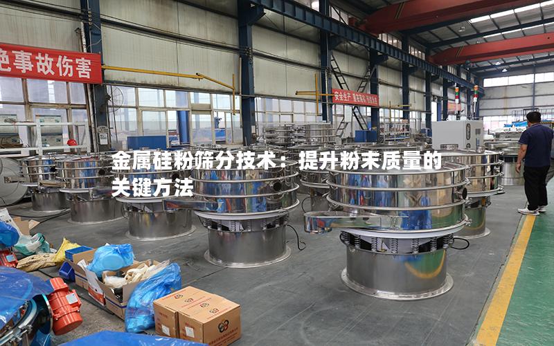 金属硅粉筛分技术:提升粉末质量的关键方法 金属硅粉筛分技术:提升粉末质量的关键方法