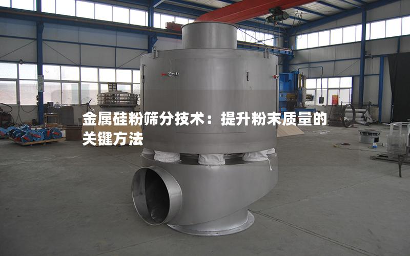 金属硅粉筛分技术:提升粉末质量的关键方法 金属硅粉筛分技术:提升粉末质量的关键方法