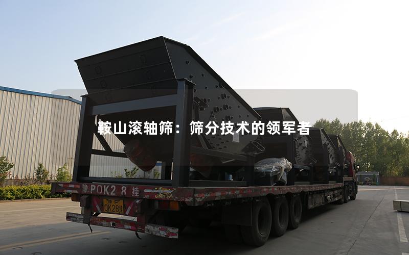 鞍山滚轴筛:筛分技术的领军者 鞍山滚轴筛:筛分技术的领军者