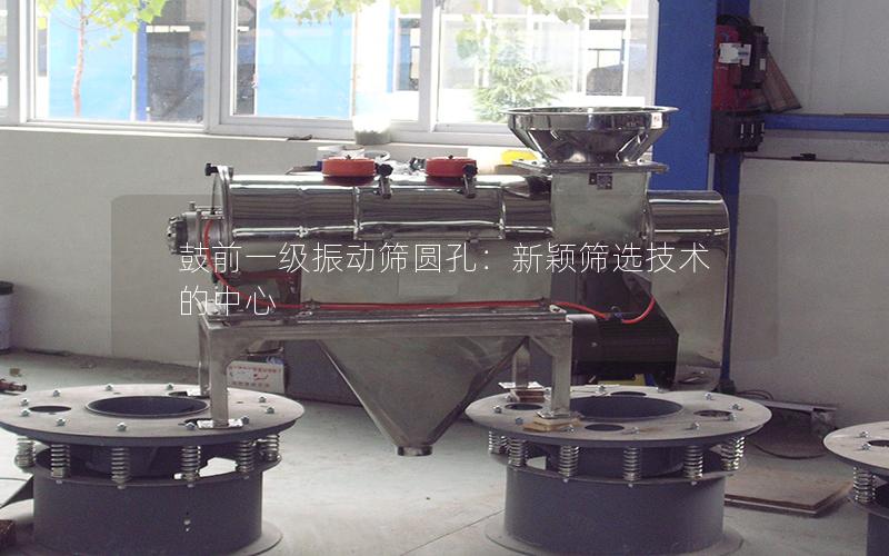 鼓前一级振动筛圆孔:新颖筛选技术的中心 鼓前一级振动筛圆孔:新颖筛选技术的中心