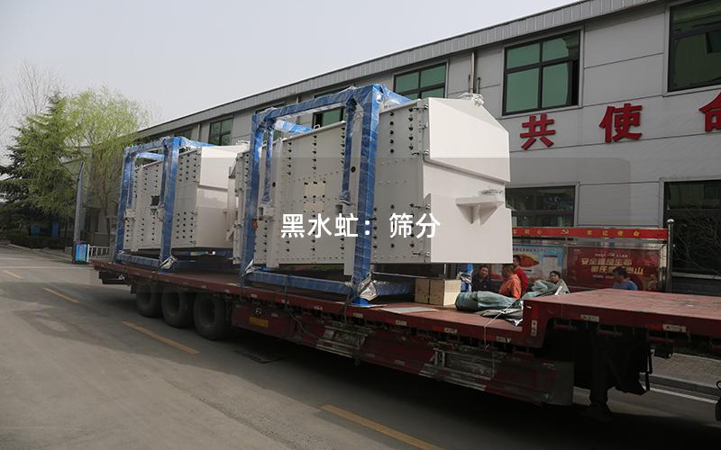 黑水虻:筛分 黑水虻:筛分