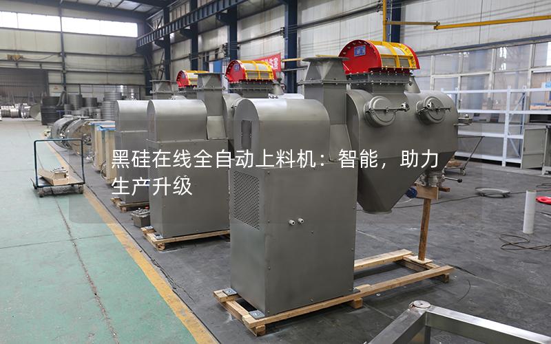 黑硅在线全自动上料机:智能,助力生产升级 黑硅在线全自动上料机:智能,助力生产升级