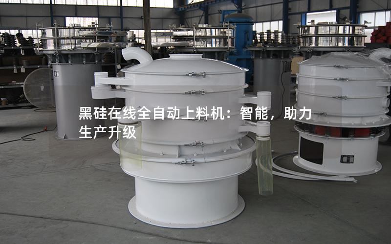黑硅在线全自动上料机:智能,助力生产升级 黑硅在线全自动上料机:智能,助力生产升级