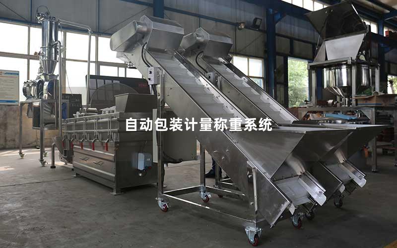 自动包装计量称重系统 自动包装计量称重系统