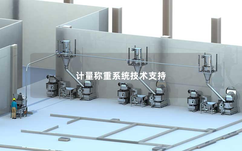 计量称重系统技术支持 计量称重系统技术支持