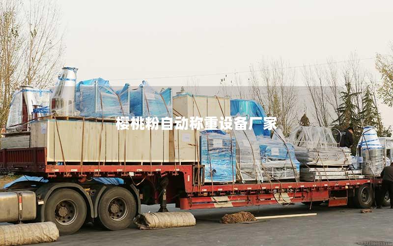 樱桃粉自动称重设备厂家 樱桃粉自动称重设备厂家