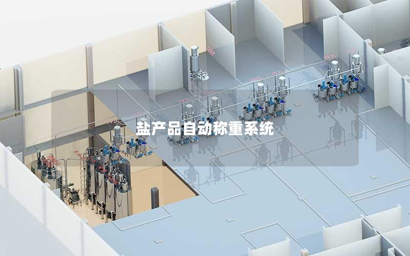 盐产品自动称重系统 盐产品自动称重系统