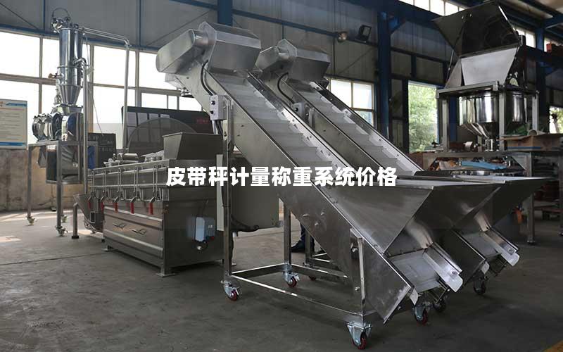 皮带秤计量称重系统价格 皮带秤计量称重系统价格