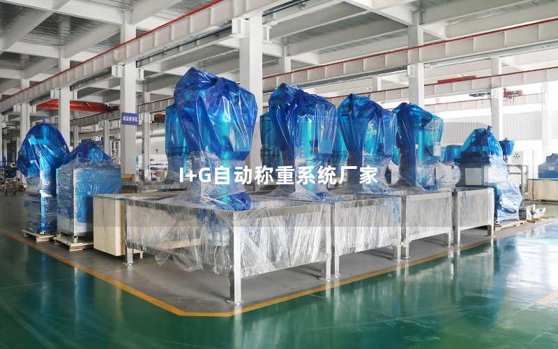 I+G自动称重系统厂家 I+G自动称重系统厂家