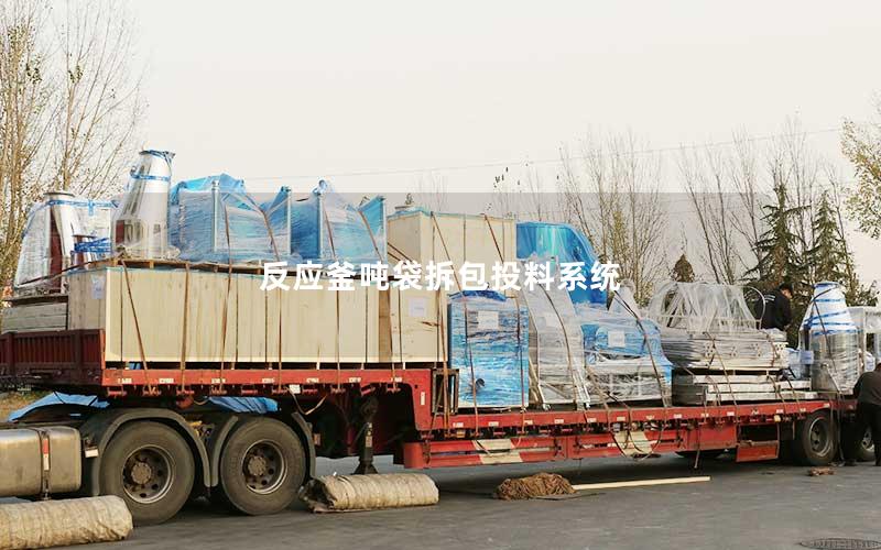 反应釜吨袋拆包投料系统 反应釜吨袋拆包投料系统