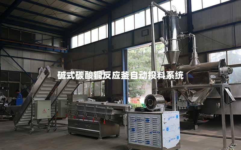 碱式碳酸铜反应釜自动投料系统 碱式碳酸铜反应釜自动投料系统