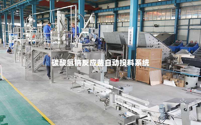 碳酸氢钠反应釜自动投料系统 碳酸氢钠反应釜自动投料系统